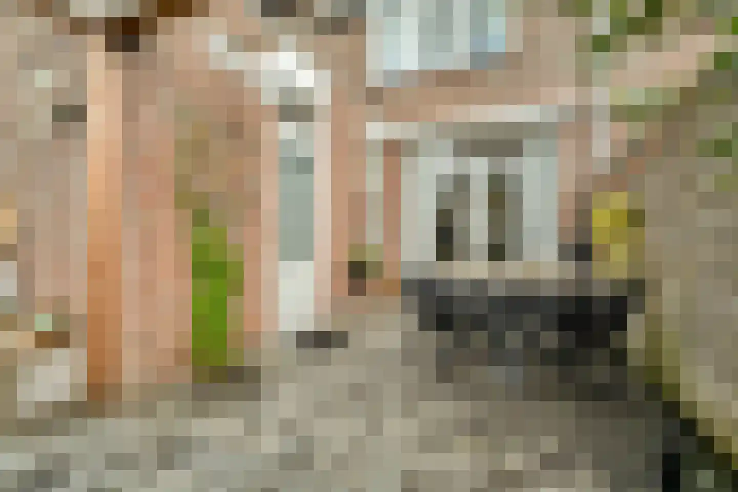 Barkas 14 Woerden thumbnail 29