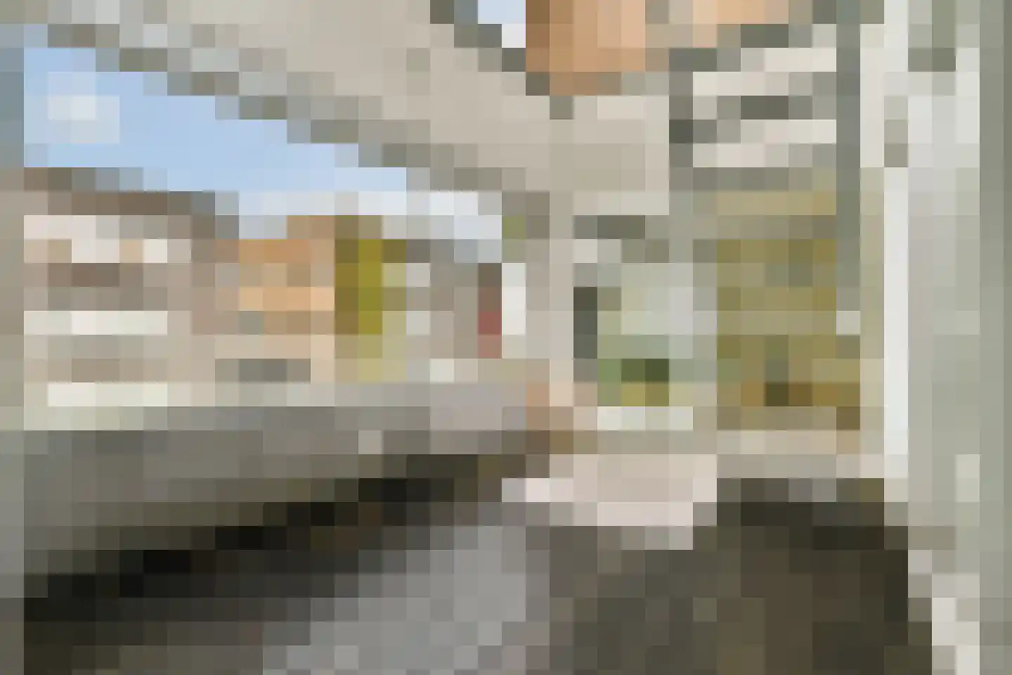 Barkasstraat 100 Amsterdam thumbnail 13