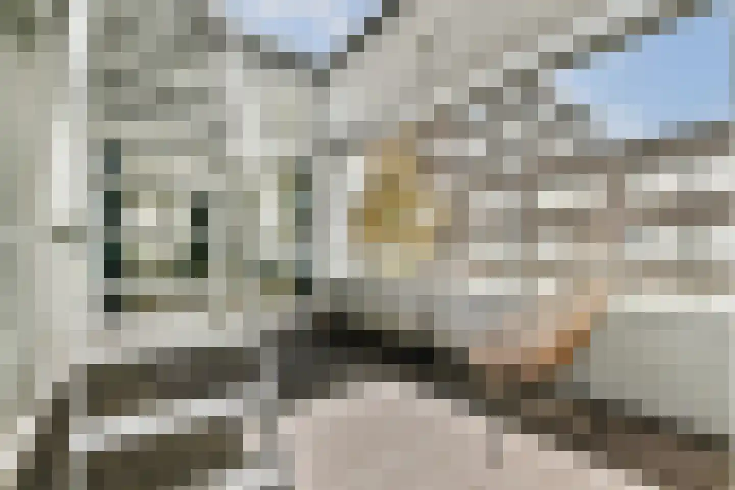Barkasstraat 100 Amsterdam thumbnail 14