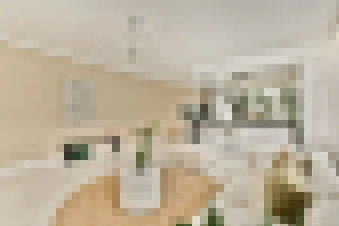 Barkasstraat 100 Amsterdam thumbnail 7