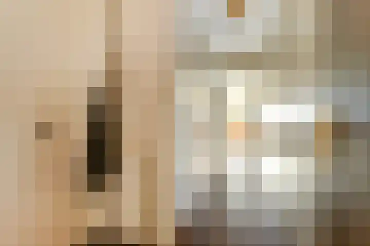 Barkasstraat 17 Amsterdam thumbnail 6