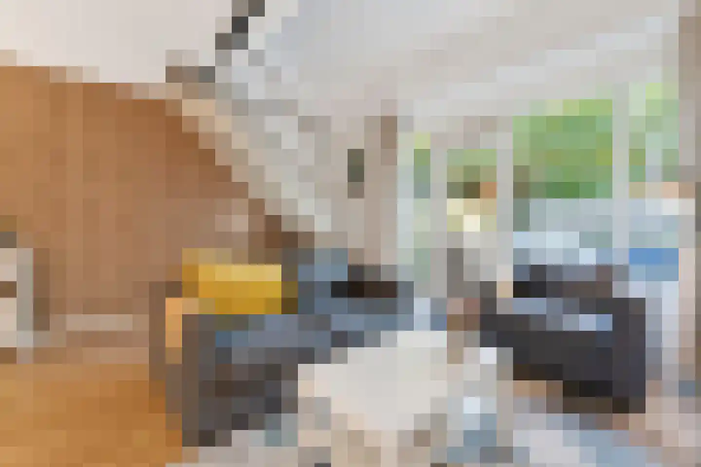 Barkasstraat 20 Alkmaar thumbnail 6