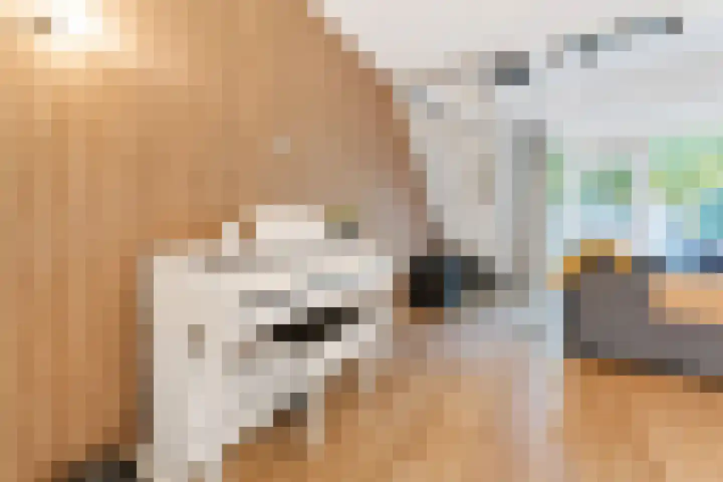 Barkasstraat 20 Alkmaar thumbnail 8