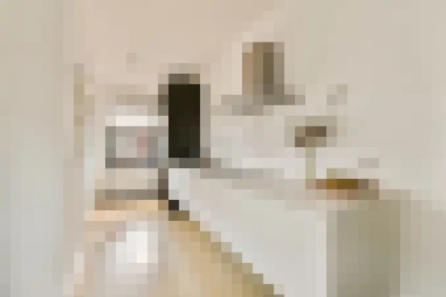 Barkasstraat 23 Amsterdam thumbnail 9
