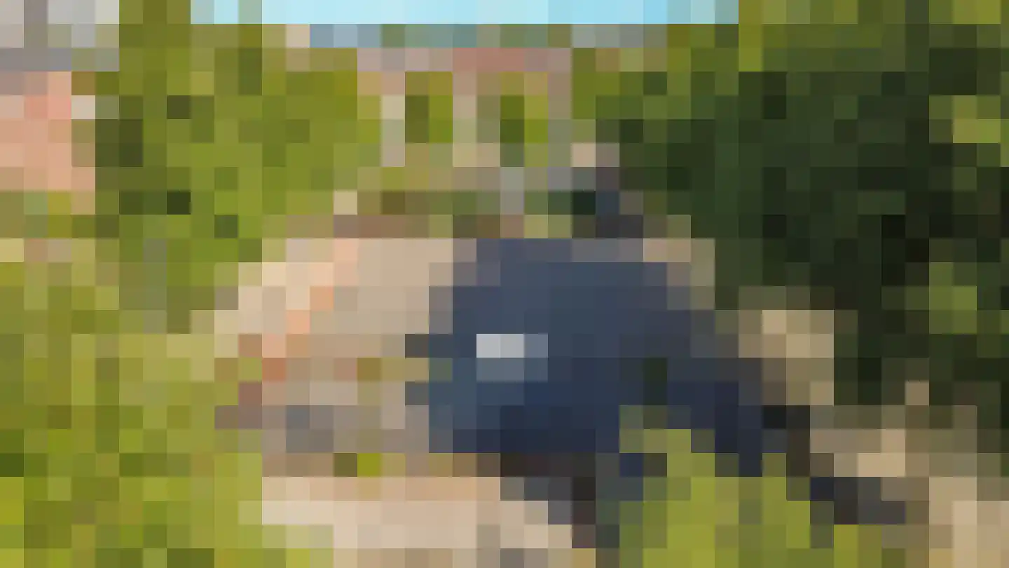 Barkasstraat 3 Utrecht thumbnail 37