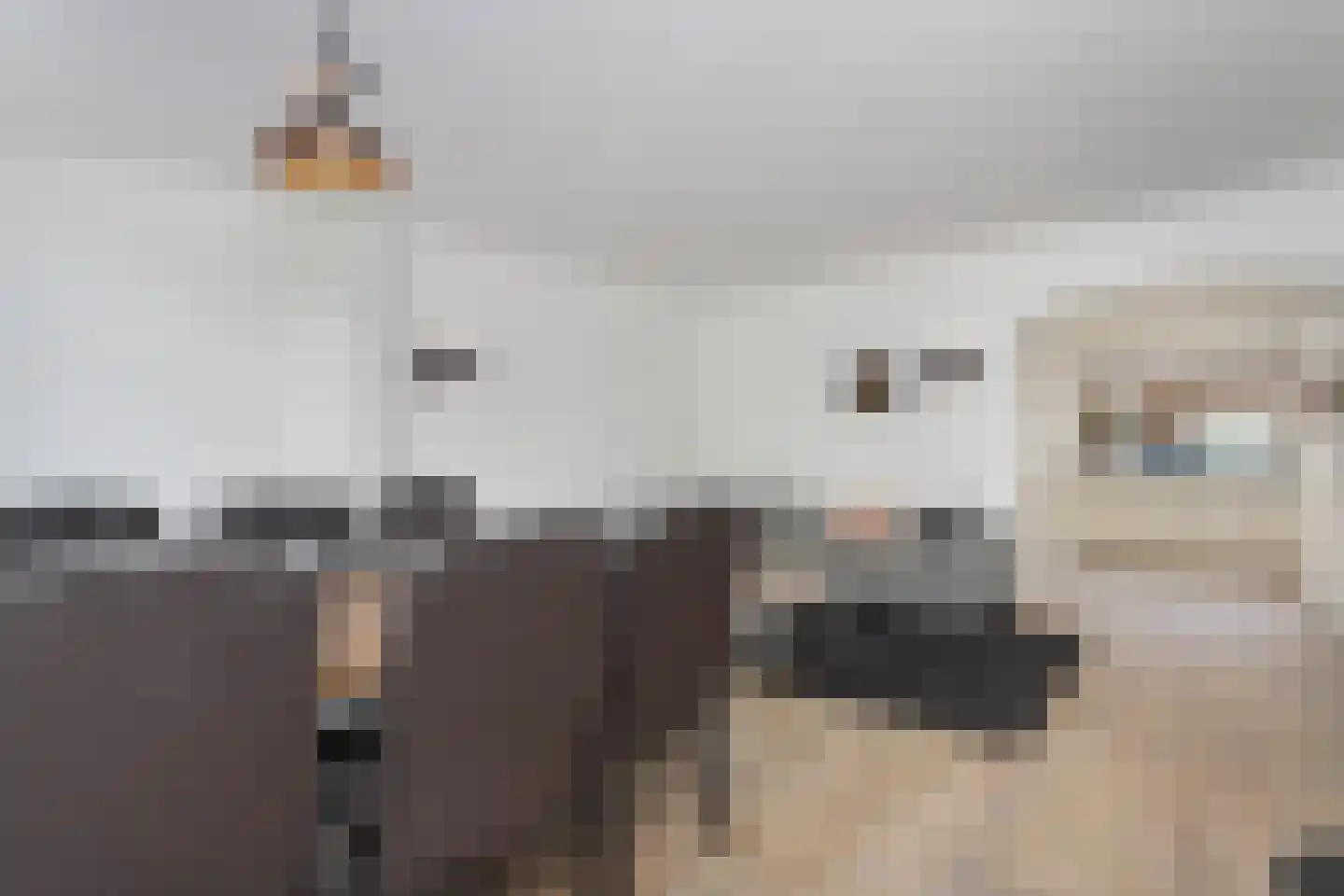 Barkasstraat 3 Utrecht thumbnail 5