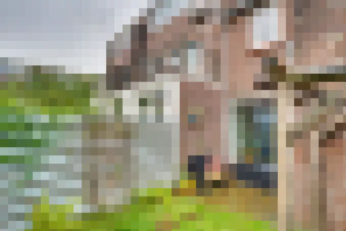 Barkasstraat 5 Utrecht thumbnail 21