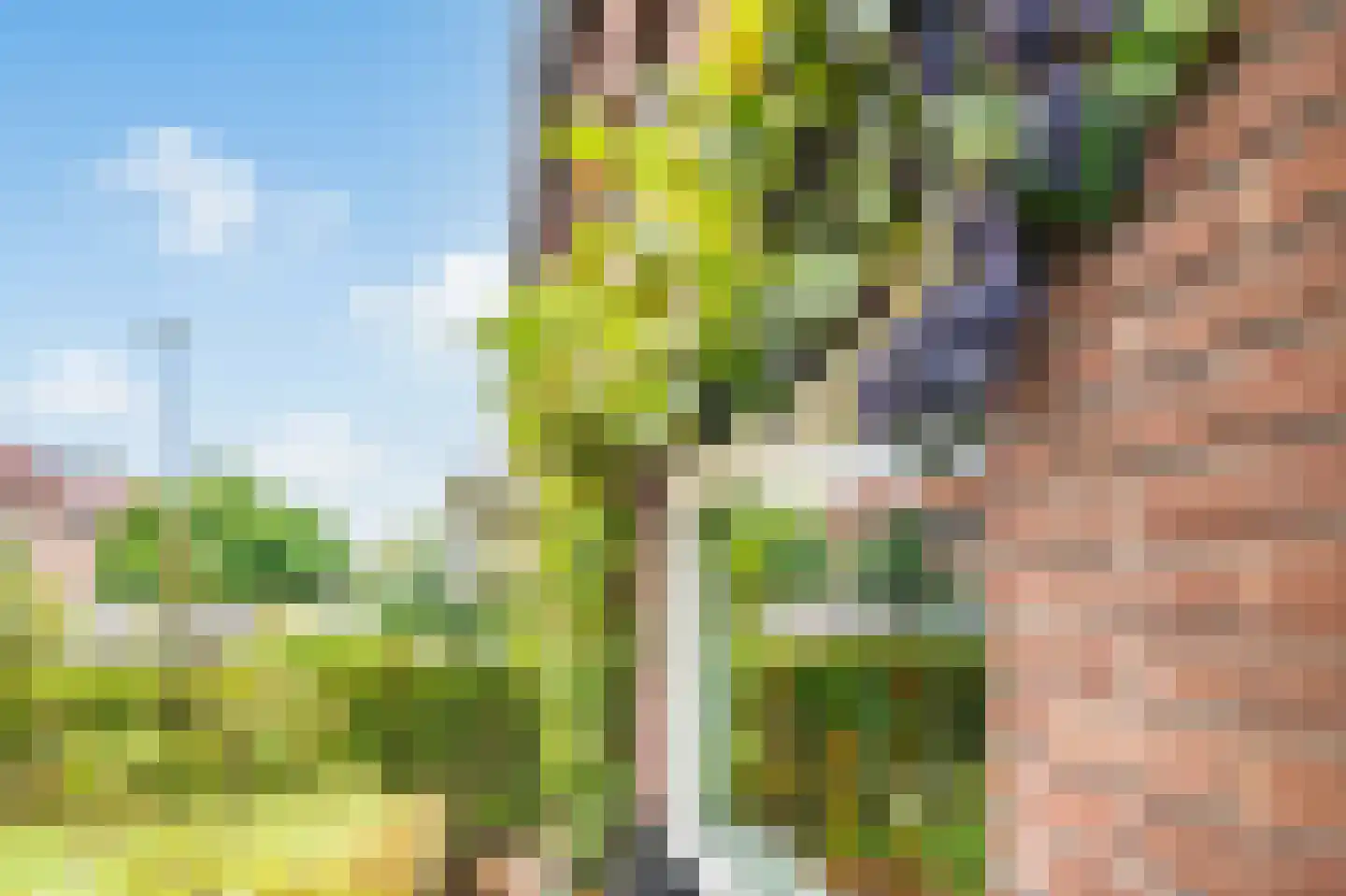Barkasstraat 5 Utrecht thumbnail 7