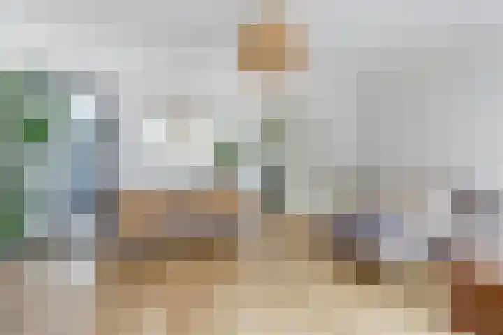 Barkasstraat 55 Utrecht thumbnail 10