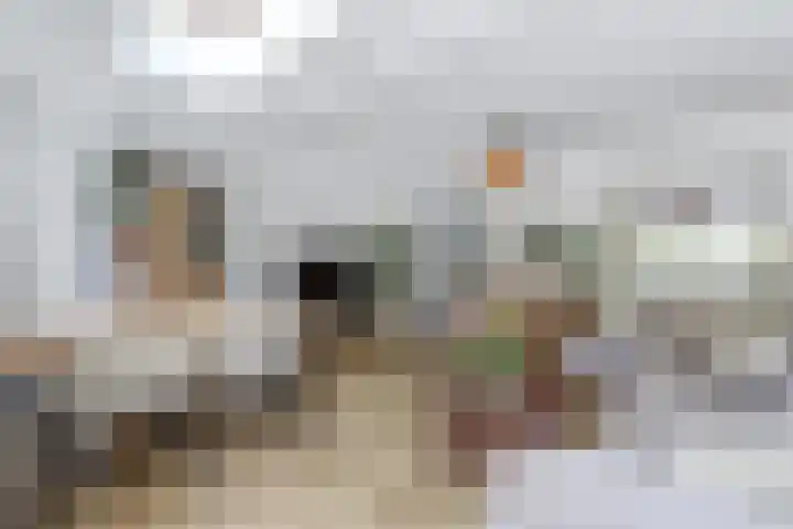 Barkasstraat 55 Utrecht thumbnail 11