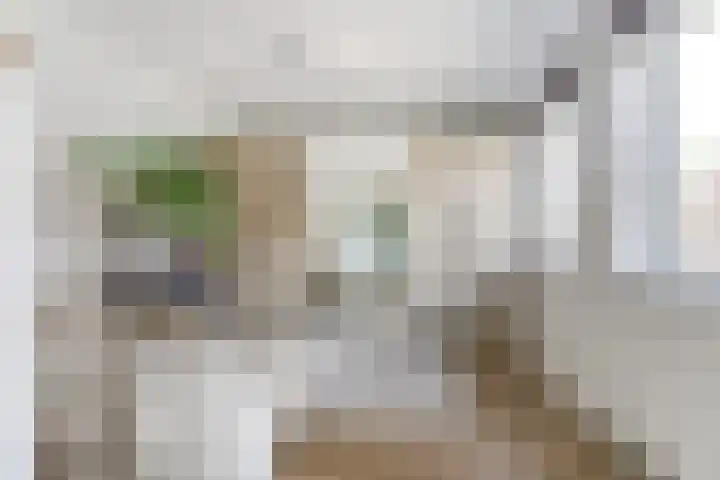 Barkasstraat 55 Utrecht thumbnail 22