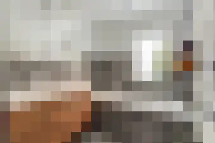 Barkasstraat 55 Utrecht thumbnail 4