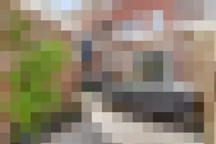 Barkasstraat 55 Utrecht thumbnail 5