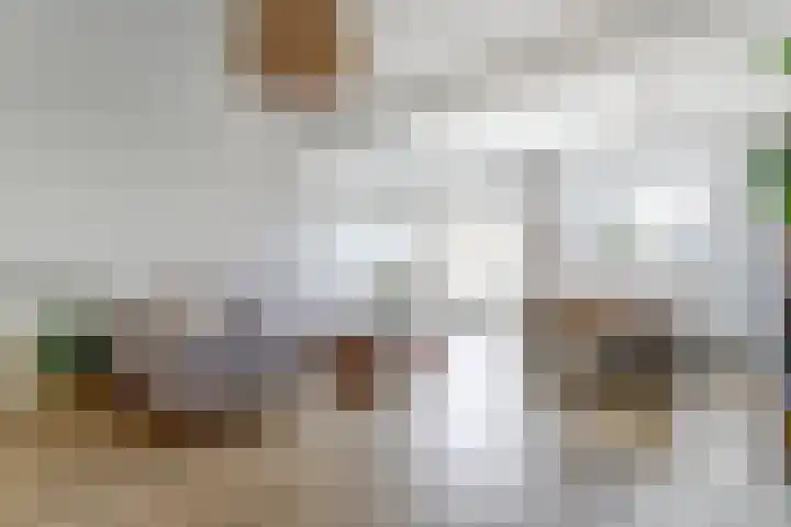 Barkasstraat 55 Utrecht thumbnail 6
