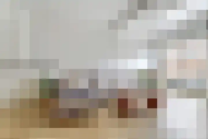 Barkasstraat 55 Utrecht thumbnail 7
