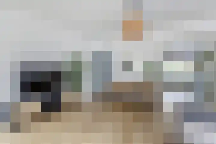 Barkasstraat 55 Utrecht thumbnail 9