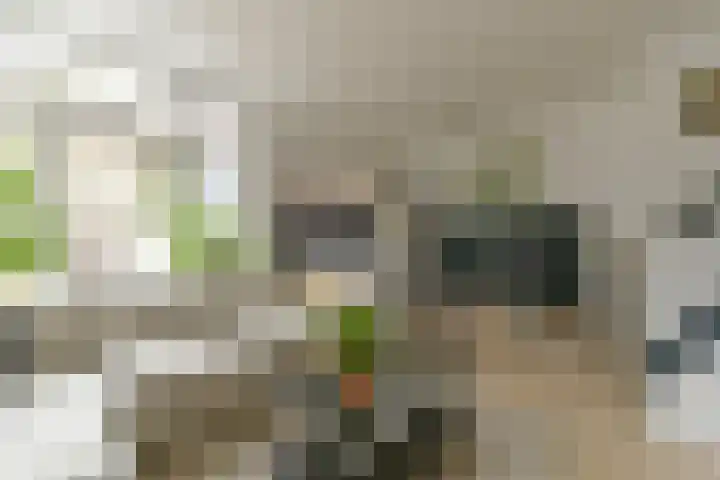 Barkasstraat 58 Utrecht thumbnail 11