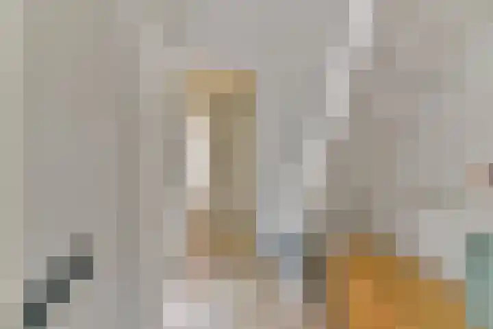 Barkasstraat 58 Utrecht thumbnail 30