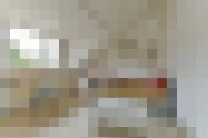 Barkasstraat 58 Utrecht thumbnail 36