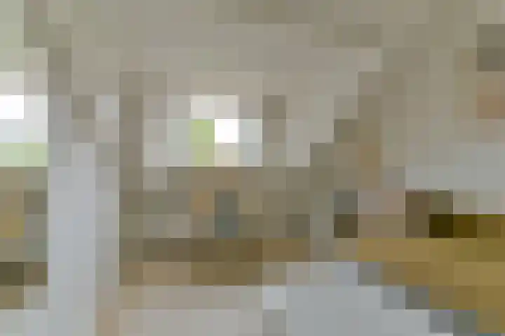Barkasstraat 58 Utrecht thumbnail 37