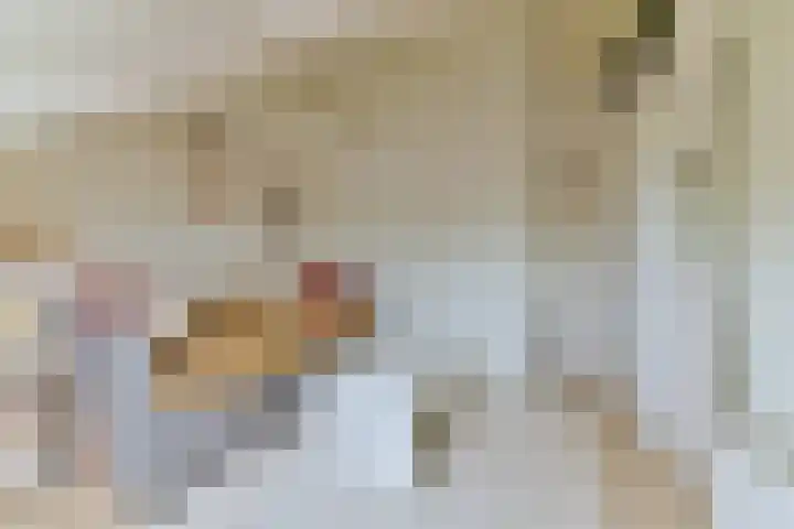Barkasstraat 58 Utrecht thumbnail 39