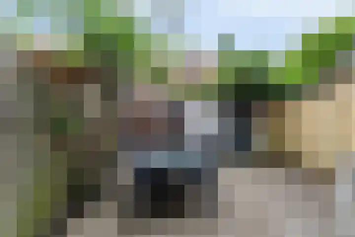 Barkasstraat 58 Utrecht thumbnail 4