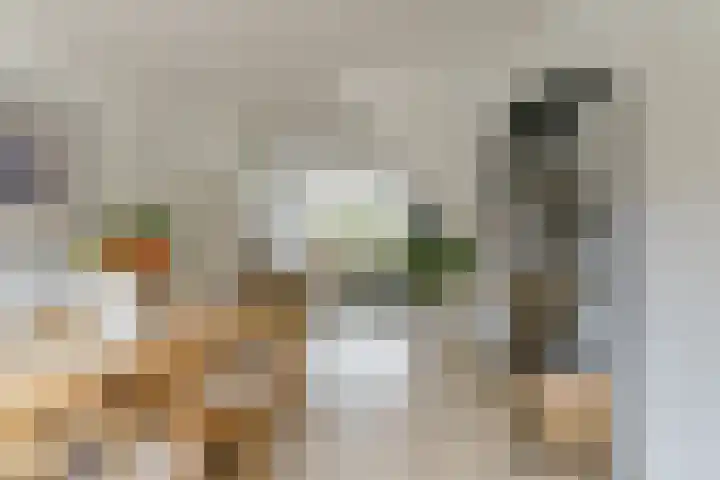 Barkasstraat 58 Utrecht thumbnail 8