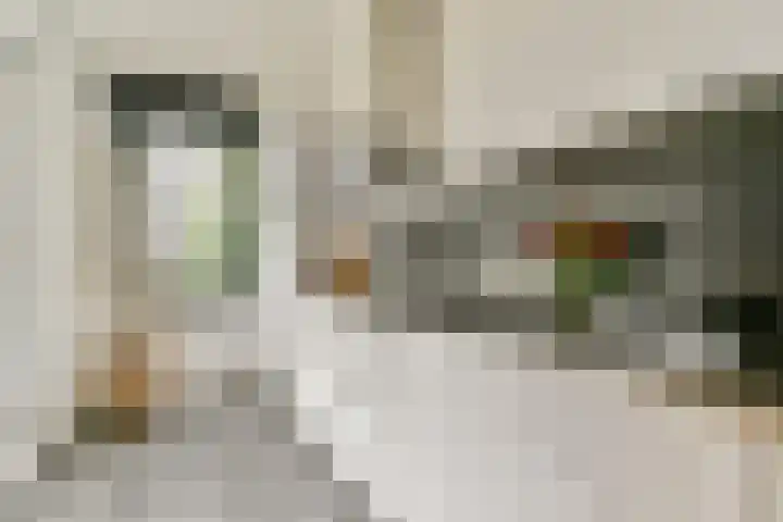 Barkasstraat 9 Amsterdam thumbnail 6