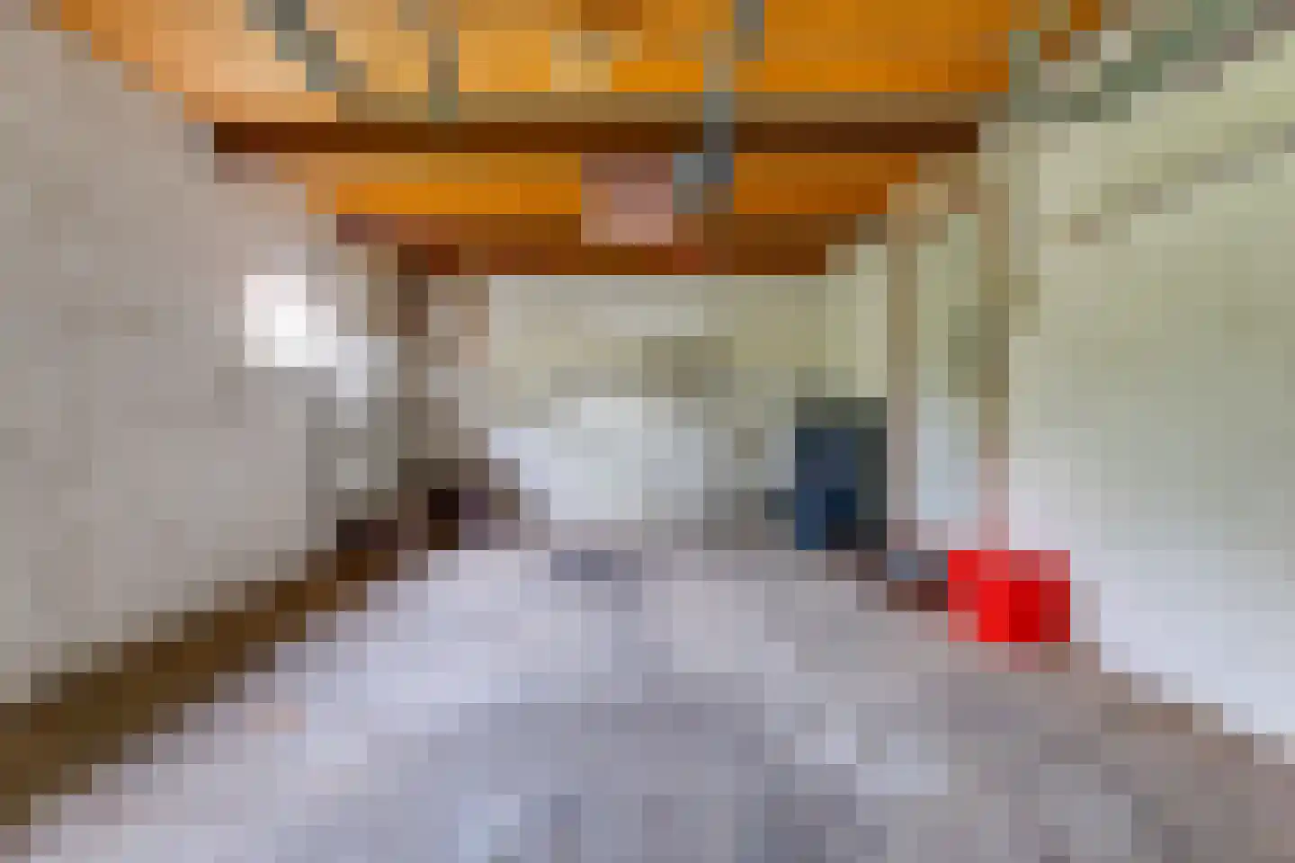 Barkelastraat 4 Stadskanaal thumbnail 32