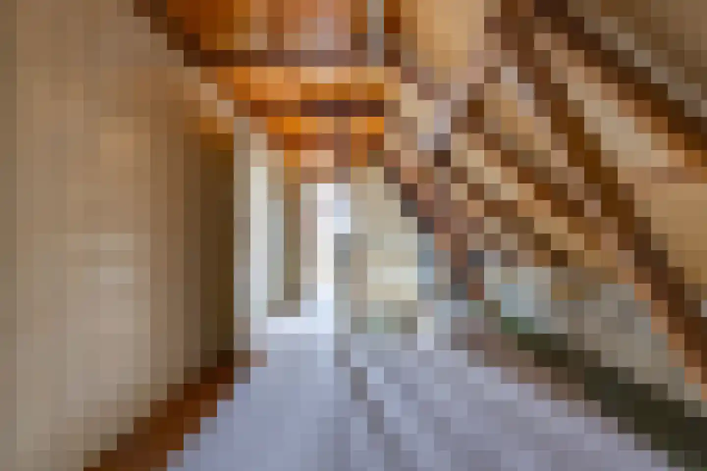 Barkelastraat 4 Stadskanaal thumbnail 33