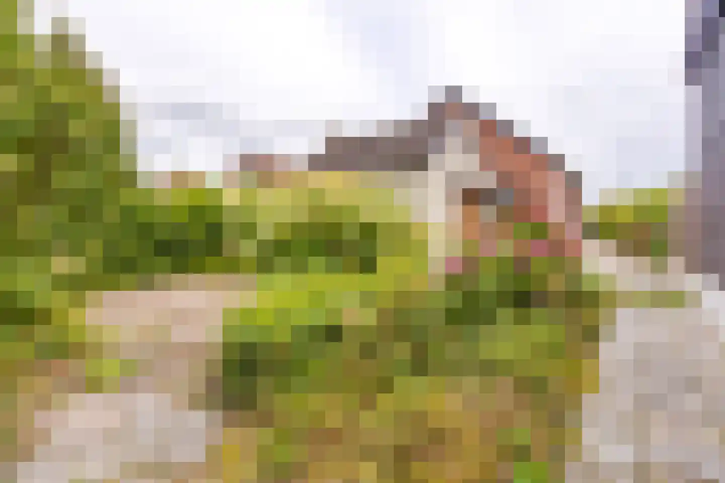 Barkelastraat 4 Stadskanaal thumbnail 39