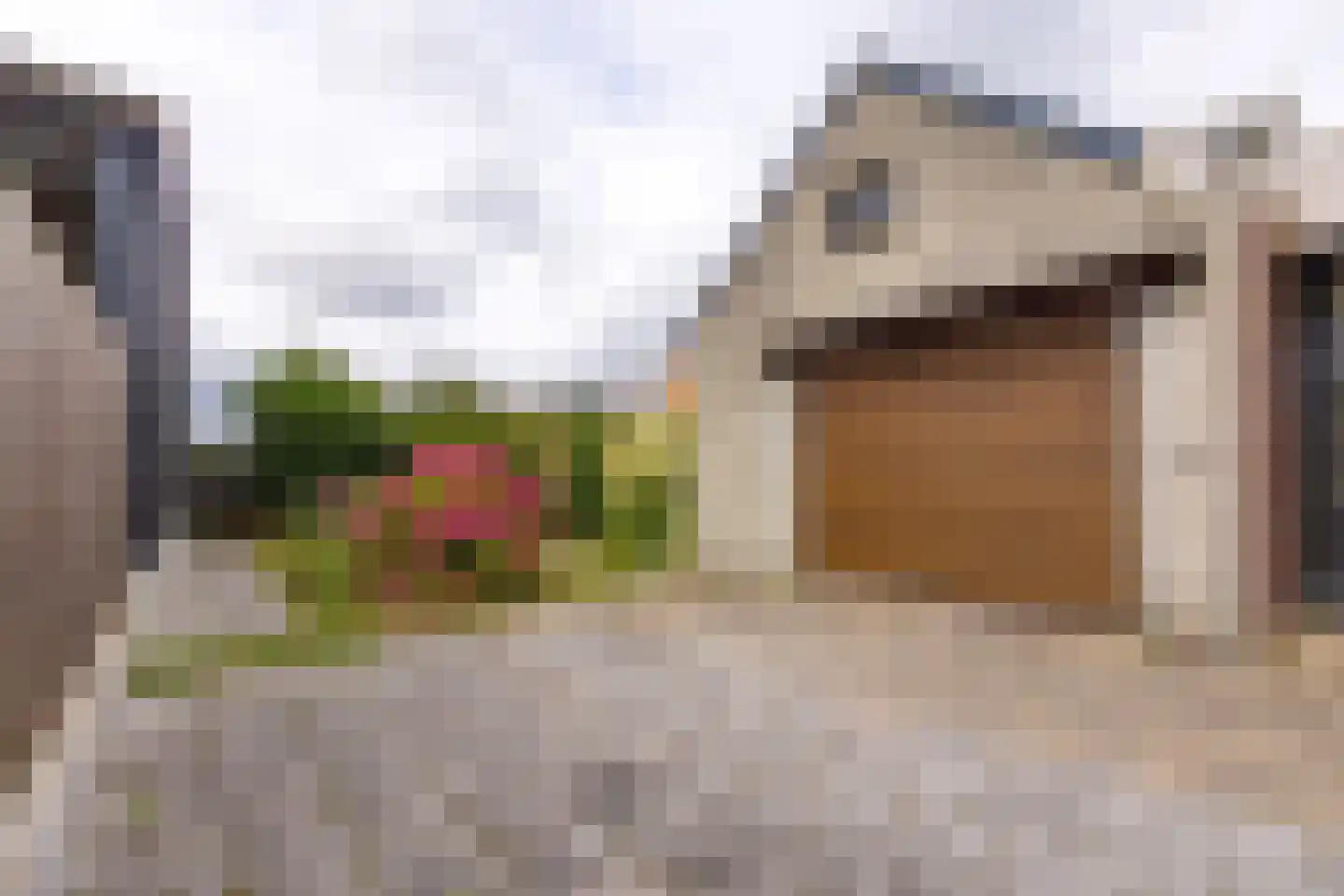 Barkelastraat 4 Stadskanaal thumbnail 42
