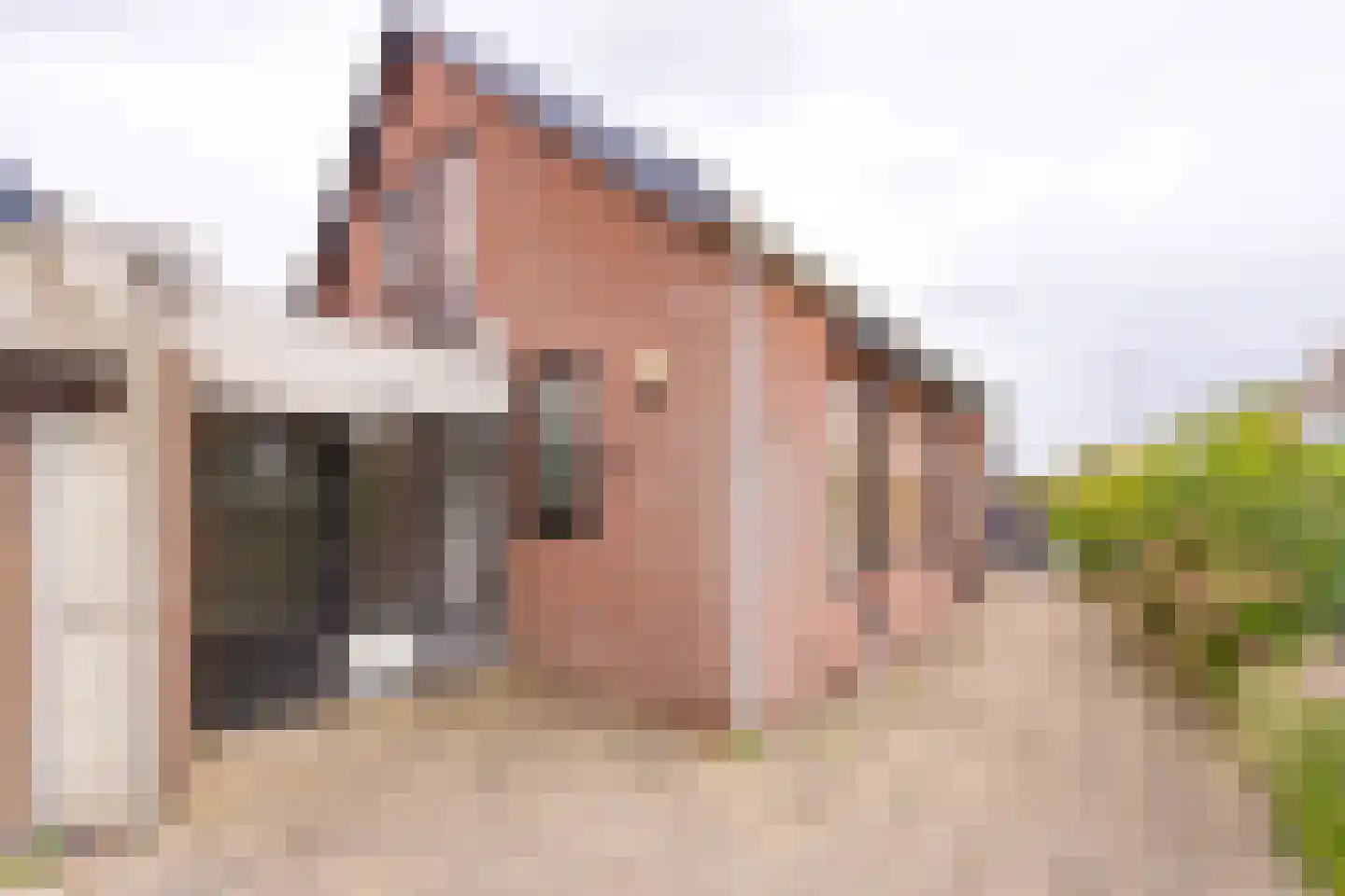 Barkelastraat 4 Stadskanaal thumbnail 45