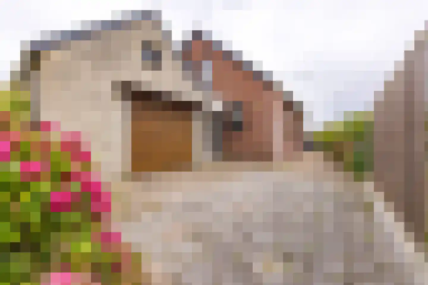 Barkelastraat 4 Stadskanaal thumbnail 5