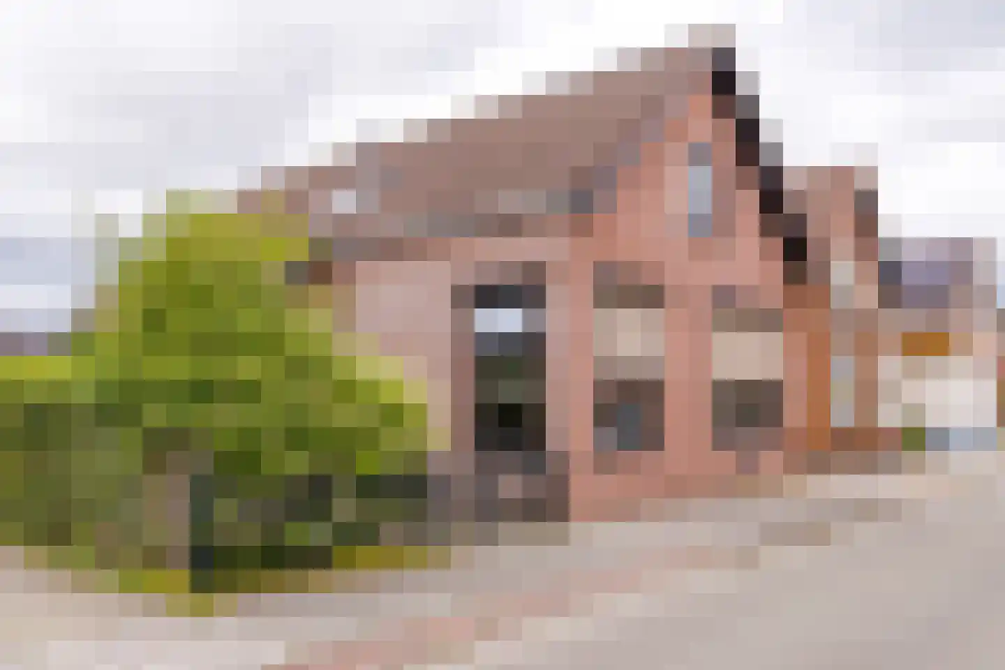 Barkelastraat 4 Stadskanaal thumbnail 9
