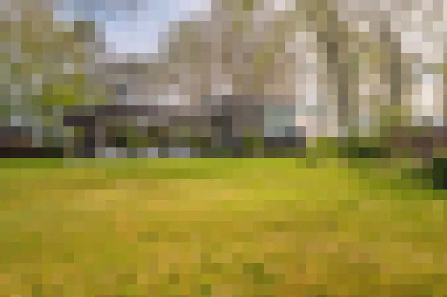 Barkelazwet 1 Alteveer thumbnail 10