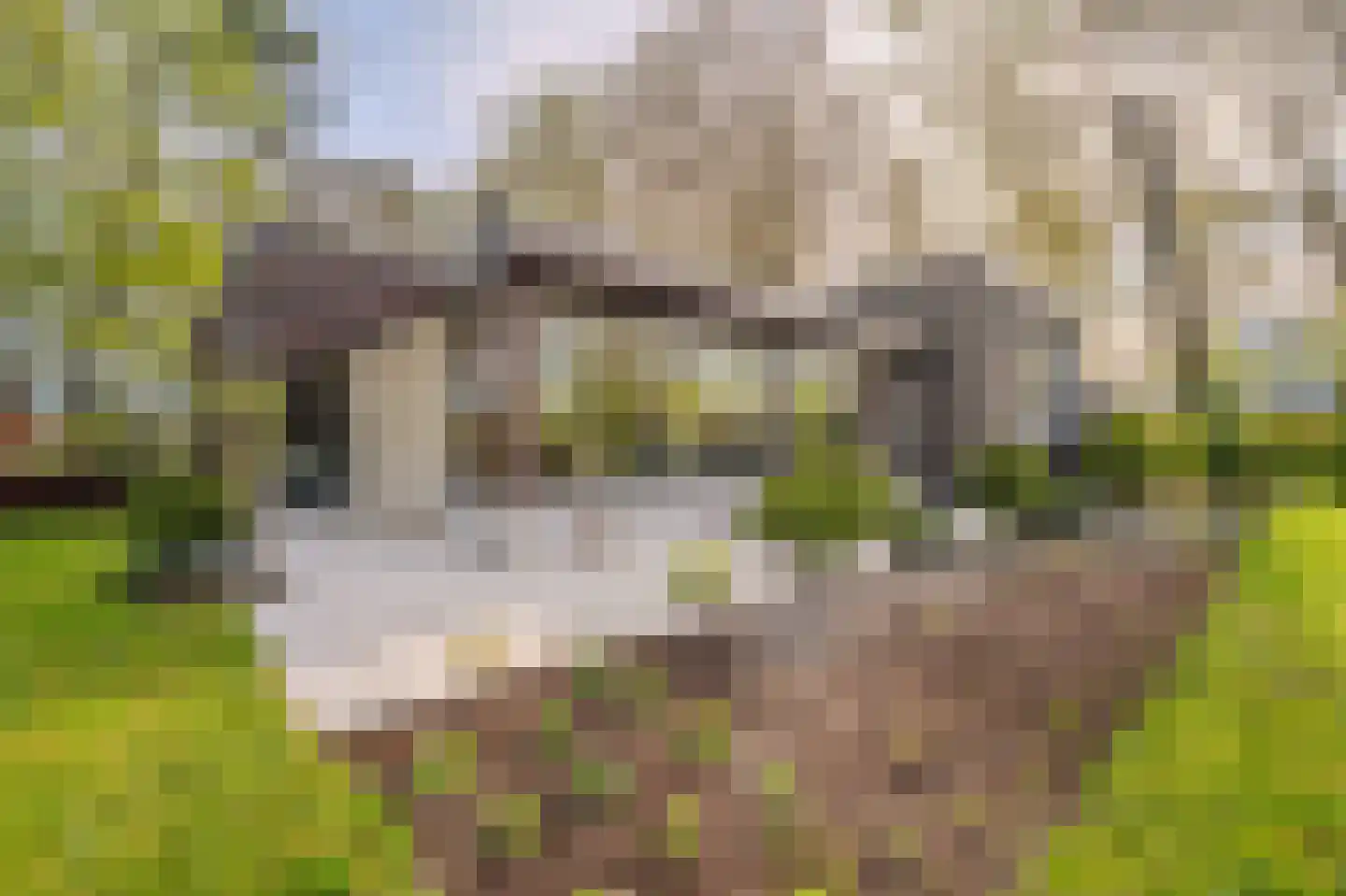 Barkelazwet 1 Alteveer thumbnail 11