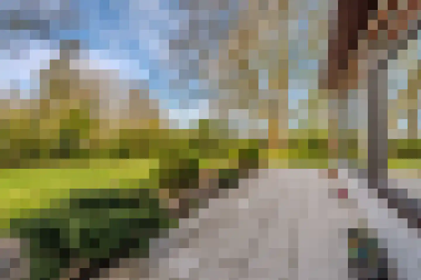 Barkelazwet 1 Alteveer thumbnail 12