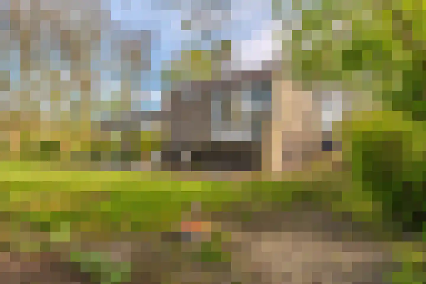 Barkelazwet 1 Alteveer thumbnail 13