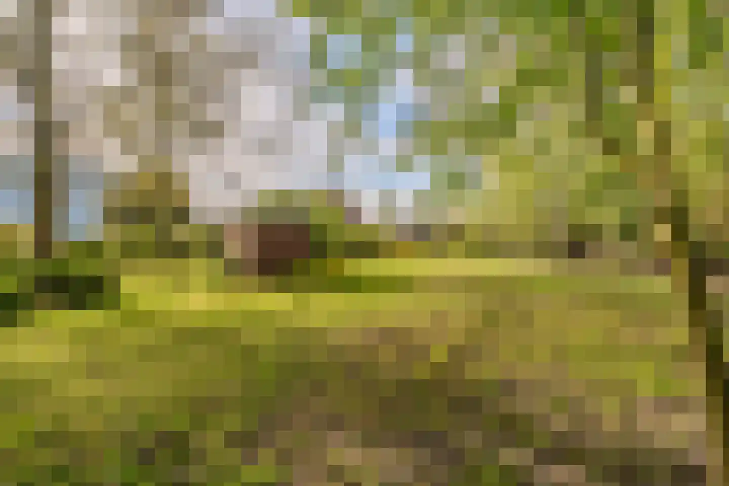 Barkelazwet 1 Alteveer thumbnail 14