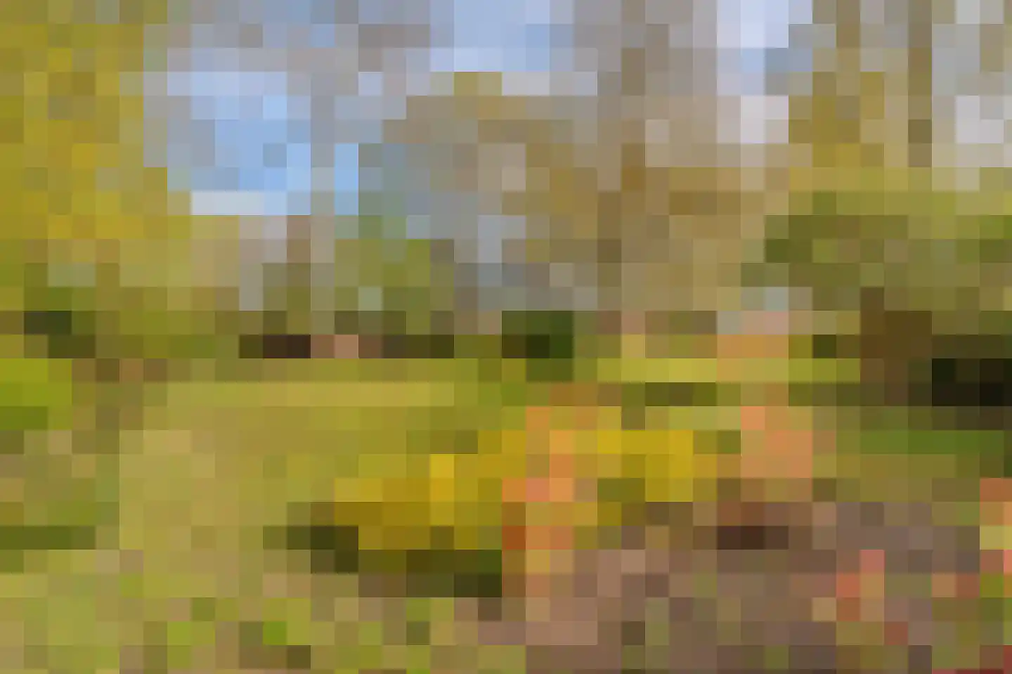 Barkelazwet 1 Alteveer thumbnail 15