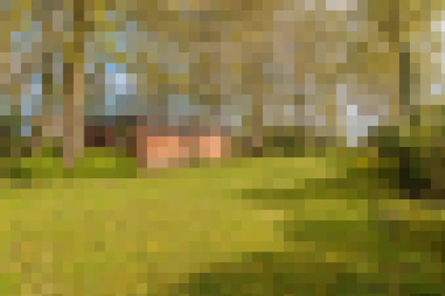 Barkelazwet 1 Alteveer thumbnail 16