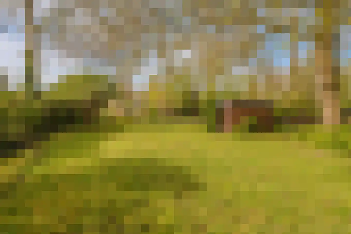 Barkelazwet 1 Alteveer thumbnail 17