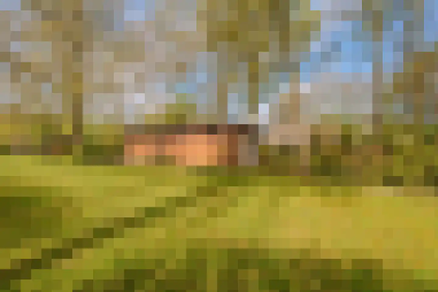 Barkelazwet 1 Alteveer thumbnail 18