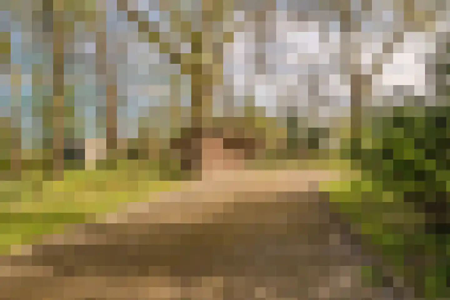 Barkelazwet 1 Alteveer thumbnail 19