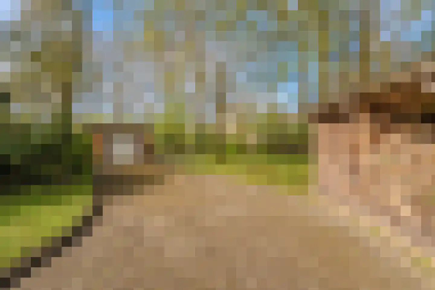 Barkelazwet 1 Alteveer thumbnail 20
