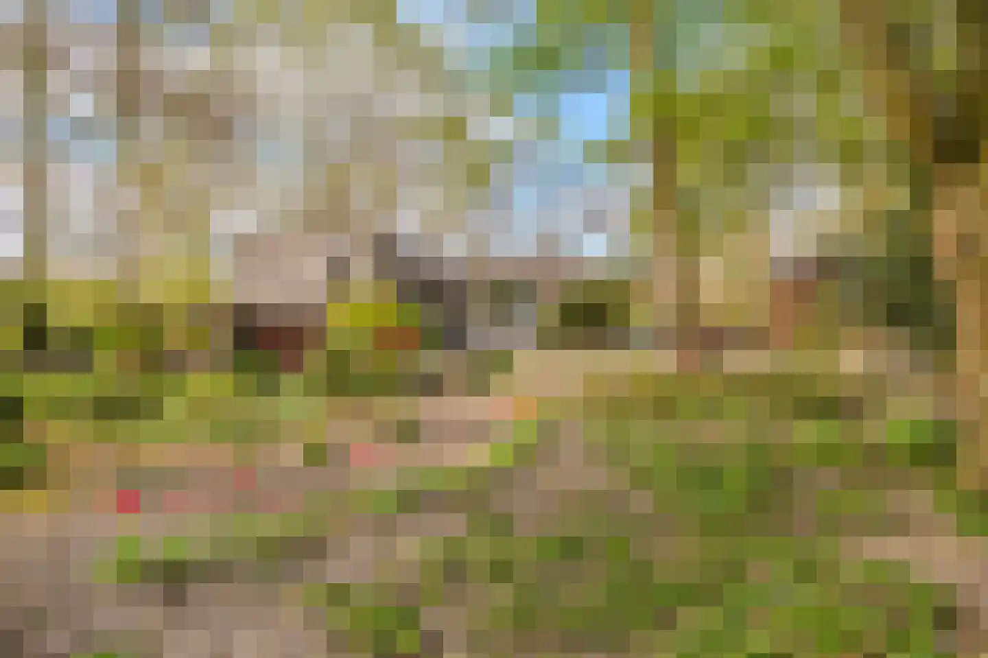 Barkelazwet 1 Alteveer thumbnail 21