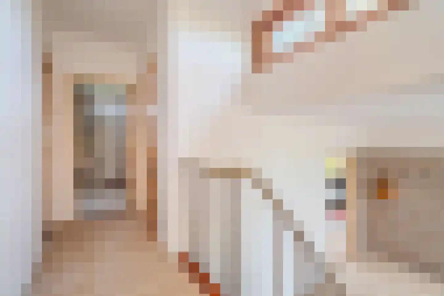 Barkelazwet 1 Alteveer thumbnail 31