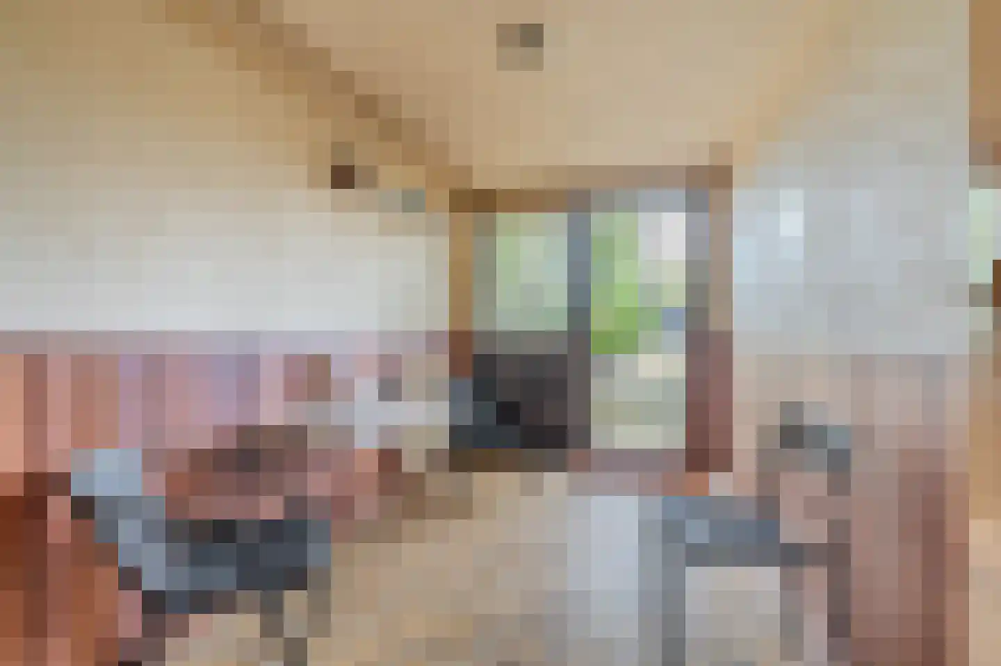 Barkelazwet 1 Alteveer thumbnail 43
