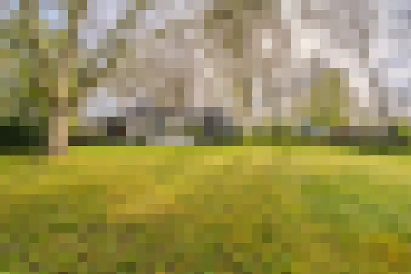 Barkelazwet 1 Alteveer thumbnail 9